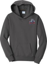 Hartford Jr. Wolfpack Youth Fan Favorite Fleece Pullover Hooded Sweatshirt