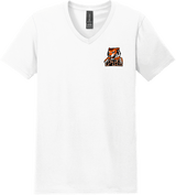 Princeton Tiger Lilies Softstyle V-Neck T-Shirt