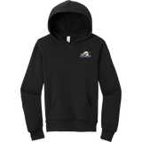 Mid-State Mustangs Youth Sponge Fleece Pullover Hoodie